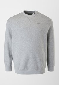 Sweat-shirt gris clair à manches longues et col rond, avec poignets et ourlet côtelés, design simple et logo discret sur la poitrine gauche.