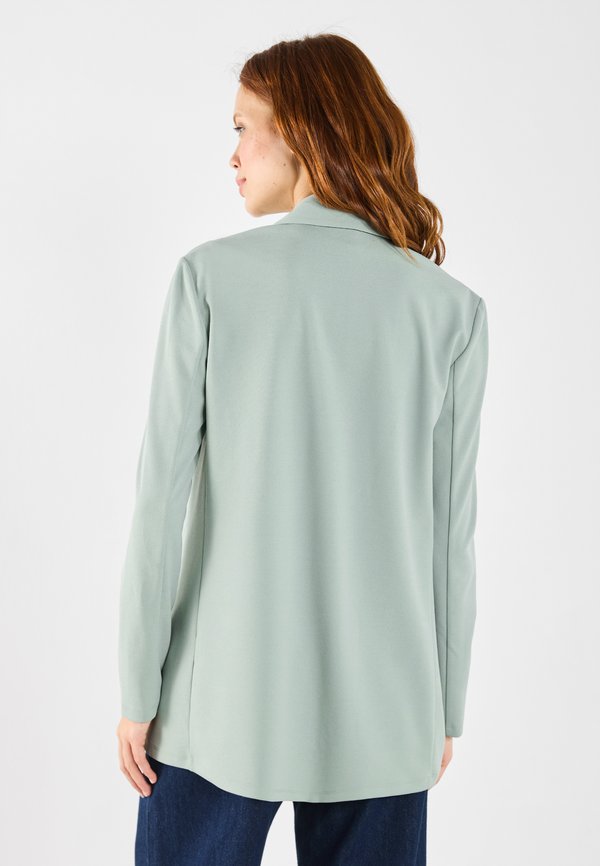 Blazer - sage3