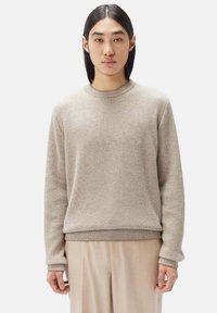 Beige strukturierter Strickpullover mit Rundhalsausschnitt und langen Ärmeln, ausgestattet mit gerippten Bündchen und Saum, kombiniert mit hellen Hosen.