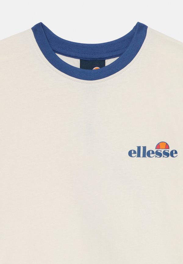 PICERNO - Basic T-shirt2