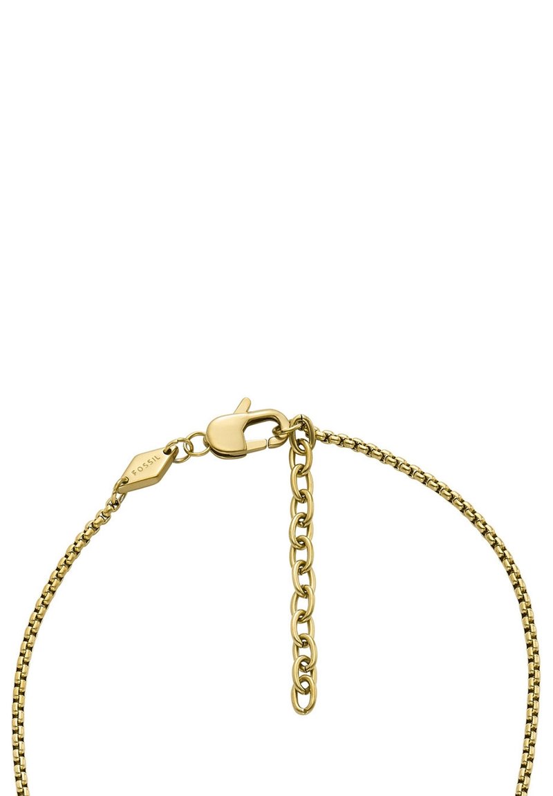 Fossil Collar - Imagen 2