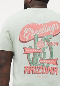 Lysegrøn T-shirt med et grafisk design, der inkluderer teksten "Hilsen fra Arizona," kaktusser og pile i pink og grønne farver.