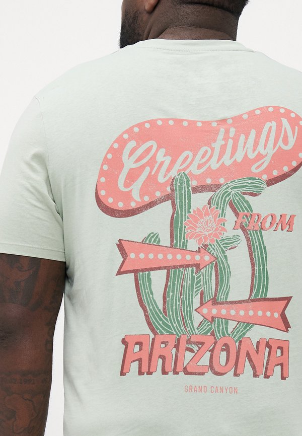 JORGREETINGS TEE CREW NECK - Print T-shirt - desert sage2