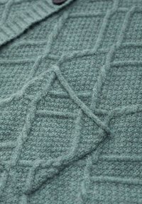 Seasalt Cornwall Cardigan - green