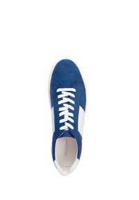 Męski niebiesko-biały sneaker z białymi sznurówkami i białą podeszwą, widziany z góry na białym tle.