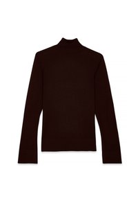 Brązowy sweter z golfem, wykonany z miękkiego dzianinowego materiału, z długimi rękawami i ściągaczem u dołu, o dopasowanym kroju.