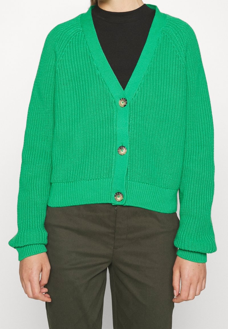 Person iført en lys grøn strikket cardigan med knapper over en sort top og mørke olivengrønne bukser, stående mod en ensfarvet baggrund.