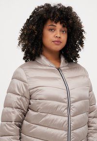 Gaišs, beidzis pūkains mētelis ar rāvējslēdzēju priekšā, pielāgojamu apkakli un horizontālu quilted rakstu. Gluda tekstūra un mūsdienīgs dizains.