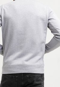 Persona vistiendo un sudadera gris claro lisa con puños de canalé y jeans negros, vista desde la parte posterior contra un fondo blanco.