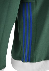 Grünes Sport-Sweatshirt mit blauen Streifen an den Seiten, weißem Rippenbund und glatter Textur.