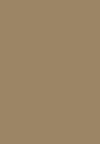 EYE SWIPE LONGWEAR 2-IN-1 SHADOW LINER (GREEK OLIVE)