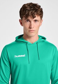 Felpa verde con cappuccio regolabile, realizzata in tessuto liscio. Presenta un logo bianco sul petto e un design a vestibilità rilassata.