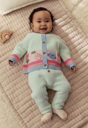 Next, REGULAR FIT -  SET  - Strickjacke - sage green crochet animal