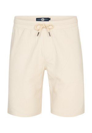 Petrol Industries, ROADRUNNER - Shorts - seashell