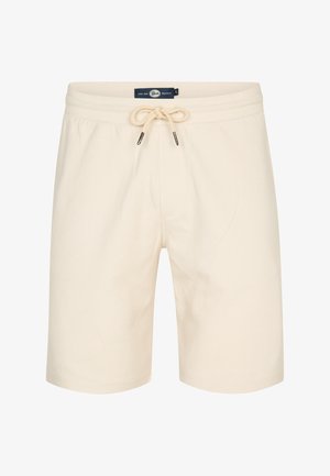 Petrol Industries, ROADRUNNER - Shorts - seashell