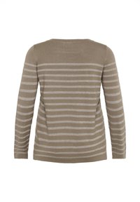 Pull taupe à manches longues avec des rayures horizontales beige clair, col rond et bords côtelés, présenté de dos sur fond blanc.