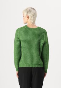 VILA VIREBA O NECK TOP - Pulover - cactus