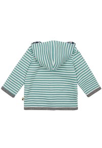 Gestreifter Kapuzenpullover in Türkis und Weiß, mit einem grauen Besatz. Weicher Stoff, mit Kapuze und langen Ärmeln, geeignet für legere Kleidung.