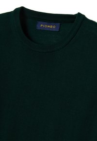 Maglione lavorato a maglia verde scuro con scollo a girocollo, caratterizzato da una texture liscia e un'etichetta con la scritta "PIOMBO" in lettere dorate.