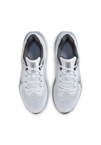 Nike Performance Zapatillas running asfalto - light grey