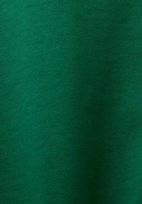 Suéter verde hecho de tejido de punto, con una textura suave y un color sólido y uniforme sin patrones ni herrajes visibles.