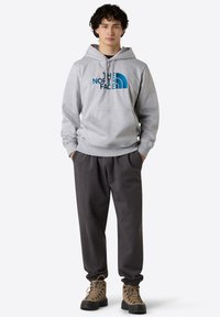 The North Face DREW PEAK - Luvtröja - tnf light grey heather