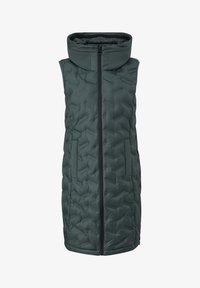 Neizbrano, tannengrün