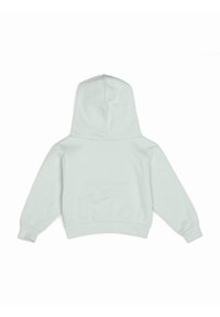 Sweat à capuche vert menthe à manches longues, avec poignets et taille côtelés. Matière en coton doux, design minimaliste, sans détail à l'avant.