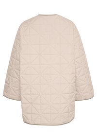 InWear TEIGAN - Winter coat - clay
