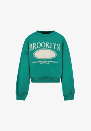 Cars Jeans JOANIE BOTTLE - Sweater - bottle