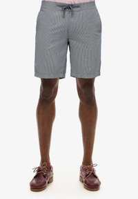 Shorts chino à rayures bleues et blanches, dotés d'une taille élastique avec cordon de serrage, de poches latérales et d'une coupe décontractée, assortis à des chaussures brunes.