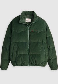 SUPER PUFFER JACKET - Doudoune - python green