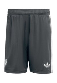 Pantaloni corti sportivi grigi realizzati in tessuto liscio, con una fantasia a tre righe bianche sui lati e un logo ricamato sulla gamba sinistra.