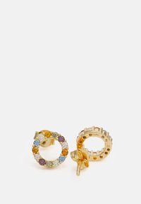 Guldörhängen med flerfärgade kristaller i en cirkulär design. Har en strukturerad baksida och en stiftlåsning för säker användning.