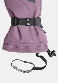 Purple winter glove with adjustable black strap and wrist loop featuring brand name, isolated on a white background.