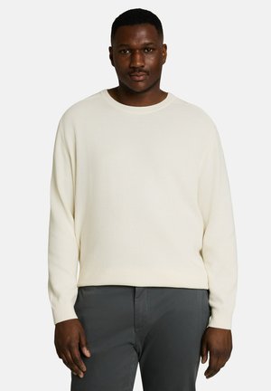 Man wearing a cream long-sleeve sweater and dark gray pants standing against a plain light background.