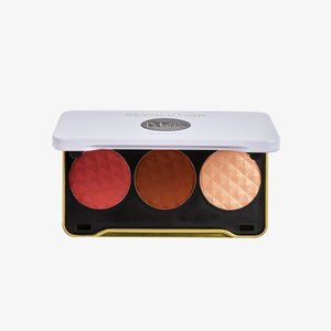 REVOLUTION X PATRICIA BRIGHT FACE PALETTE - Face palette - you are gold (medium)