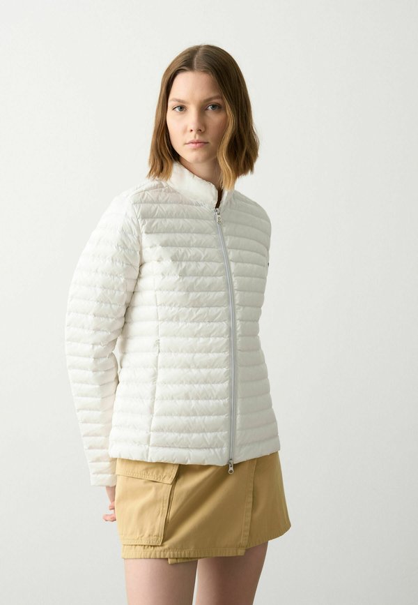 PADDED COLLAR  - Daunenjacke