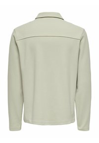 Light green long-sleeve polo shirt with a classic collar. Smooth texture with a subtle diagonal pattern and a yoke detail across the back.