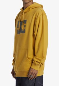 DC Shoes STAR PH - Hoodie - yky tinsel