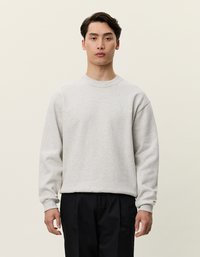 Šviesiai pilkas paprastas megztinis su gaubtu ir rankovėmis, turintis mažą logotipo detalę krūtinėje, pagamintas iš minkštos medvilnės mišinys.