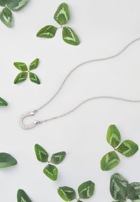 Sofia Milani HORSESHOE - Halsband - silver coloured