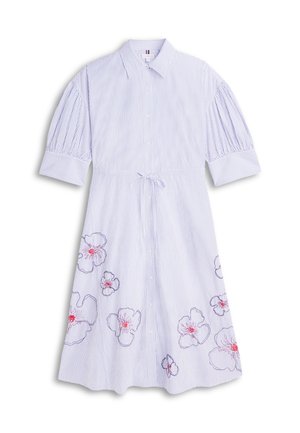 Robe à rayures bleu clair et blanches avec manches courtes bouffantes, fermeture boutonnée à l'avant, ceinture à la taille et broderies florales près de l'ourlet.