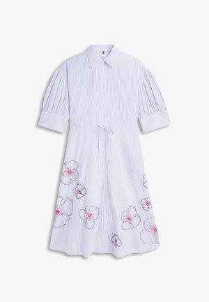 Robe à rayures bleu clair et blanches avec manches courtes bouffantes, fermeture boutonnée à l'avant, ceinture à la taille et broderies florales près de l'ourlet.