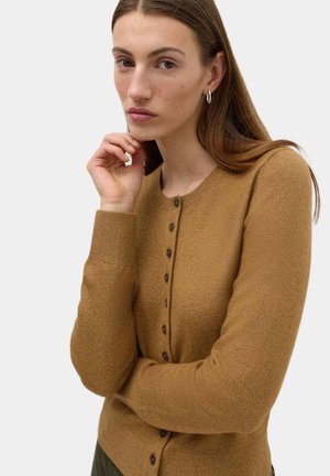 Frau mit langen braunen Haaren, die kleine Creolen und eine braune, geknöpfte Strickjacke trägt, stützt das Kinn auf die Hand vor einem einfarbigen Hintergrund.