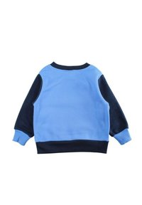 Pull-over à manches longues en bleu et marine, avec un col rond côtelé et des manches à poignets, présentant une texture lisse et des panneaux colorés contrastants.