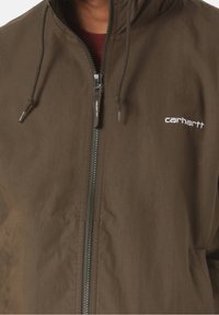 Carhartt WIP Trainingsjacke - green