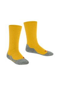 FALKE ACTIVE WARM  - Calze sportive - bee