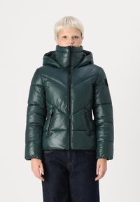 Dark green puffer jacket with a shiny finish, hood, zip closure, and diagonal stitching patterns. Features side zip pockets.