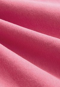 Next LOVE RAGLAN  REGULAR FIT - Mikina - pink